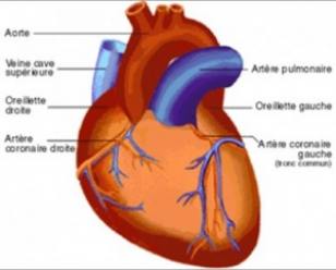 En Attente D'opration Cardiovasculaire: 250 Malades En Sursis