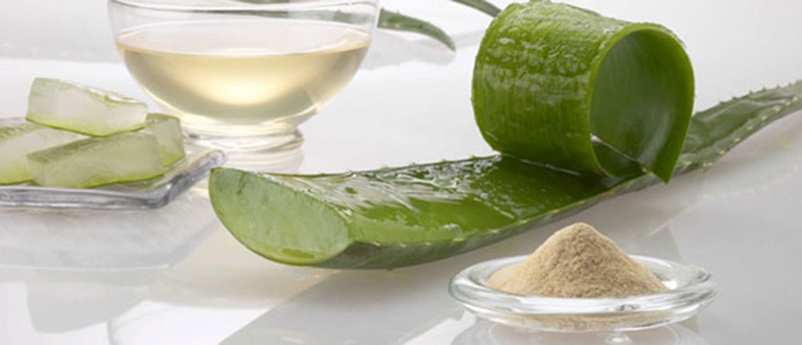 Le gel l'Aloe Vra : pour prendre soin de vos cheveux