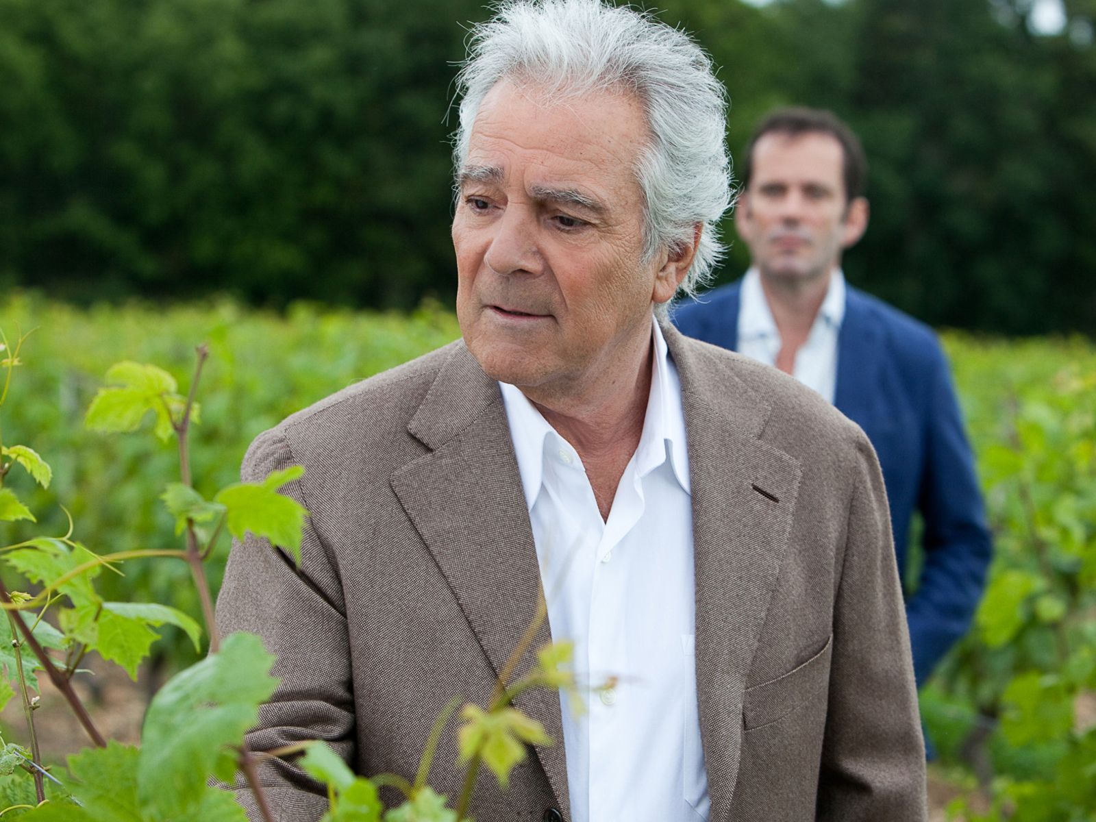 Le Sang de la vigne : que deviennent les acteurs depuis l'arrt de la srie ?