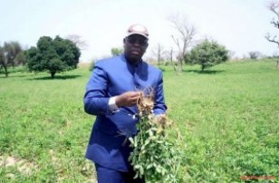 Macky Sall :  Pas Question D'immatriculer Des Terres Au Nom Des Collectivits Locales