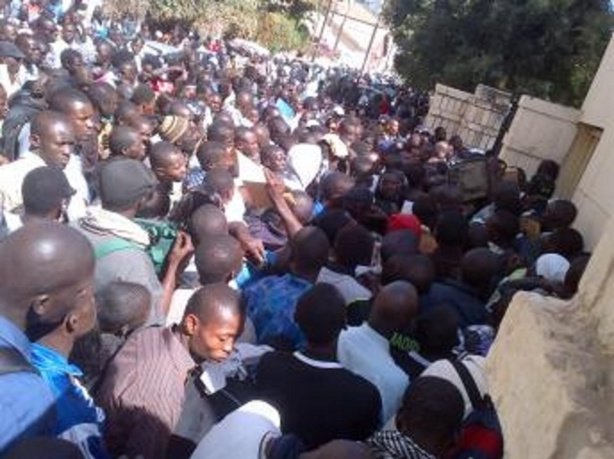 Une bombe de 300 000 jeunes demandeurs d'emplois au Sngal