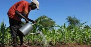 Accs au financement : les dputs valident un nouveau dispositif pour le secteur agricole
