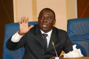 L�gislatives 2017 : Gadio se d�sole de l'implication de Wade et de Niasse