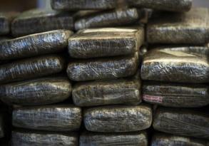 Chanvre indien : Dakar et This champions de la consommation