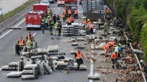 Insolite-Autriche: Des milliers de poules bloquent une autoroute