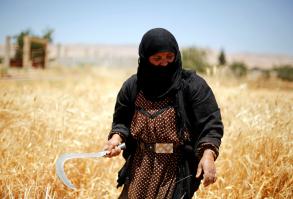 La Syrie manque de bl pour nourrir sa population