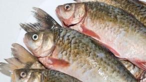 Cameroun: baisse des importations de 13,4% en 2016, catalyse par la production locale du ciment et du poisson