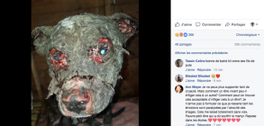 Un couple fait vivre le martyr  son chien en le mutilant