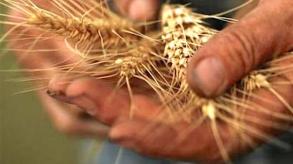 Vers une agriculture bio pour tout le monde en 2050