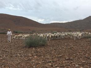 Bnin: dbut de la campagne trs encadre de transhumance frontalire 2017-2018