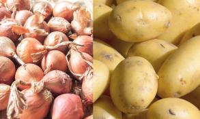 Oignon et pomme de terre : Gel des importations  partir du 25 janvier prochain